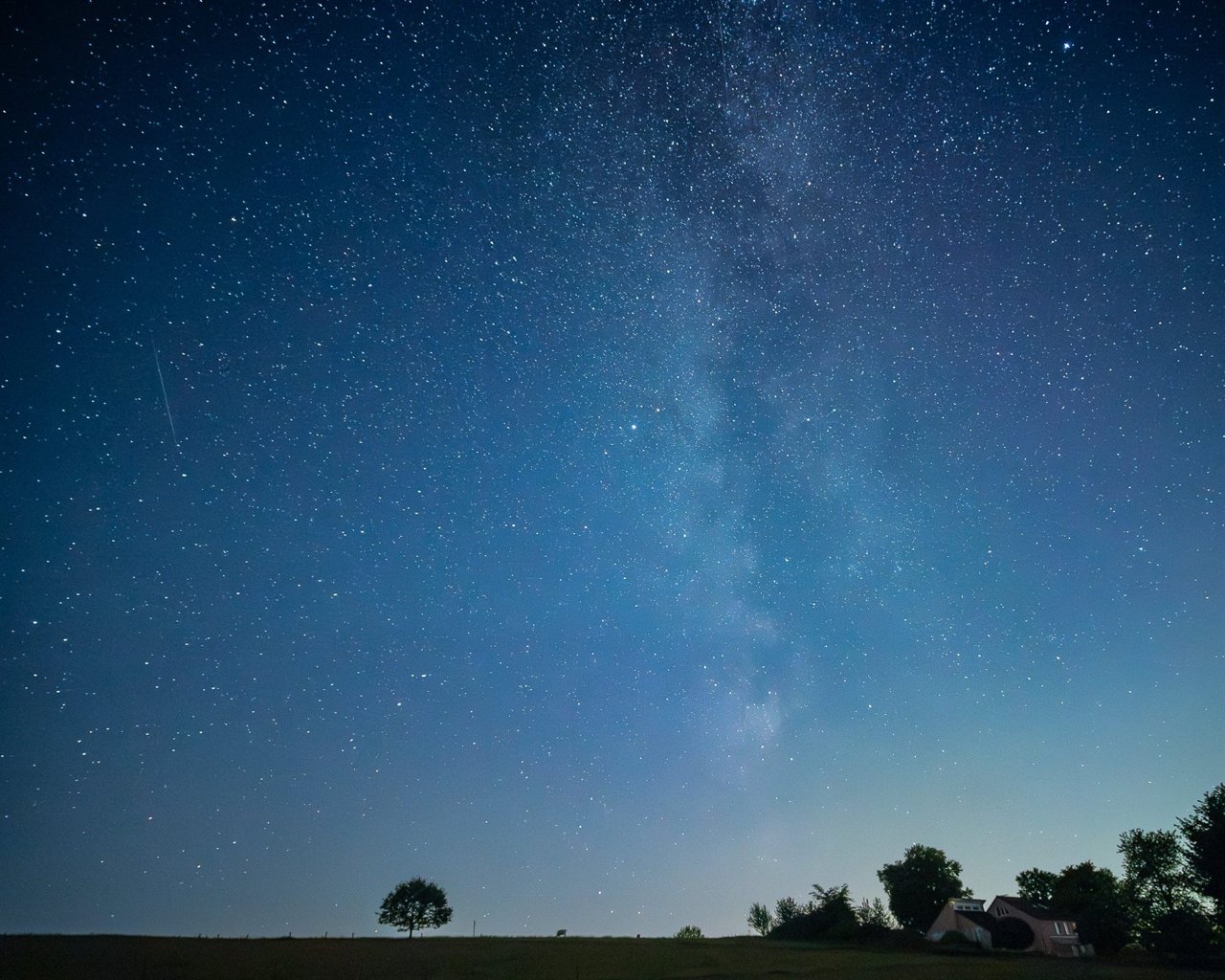 Cielo nocturno con la Vía Láctea sobre un horizonte con árboles en silueta