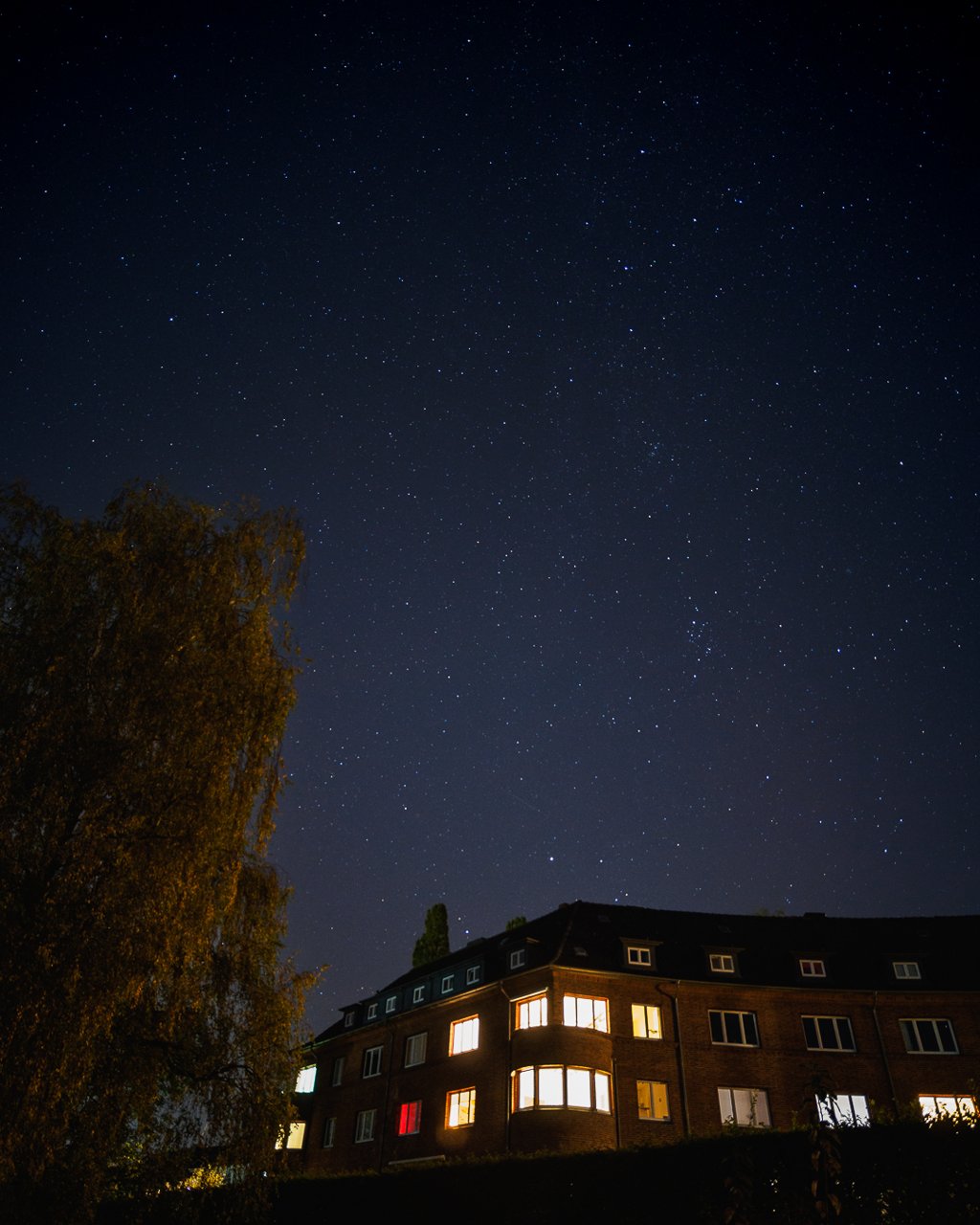 Edificio con ventanas iluminadas bajo un cielo estrellado junto a un árbol otoñal